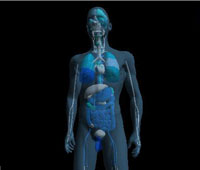 Before EIS Scan