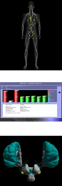 EIS Scan images